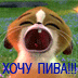 СИНИЙ_КИРПИЧ
